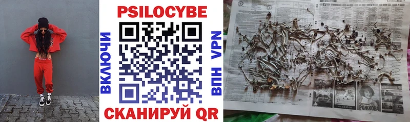магазин  наркотиков  Артём  Галлюциногенные грибы Psilocybe 